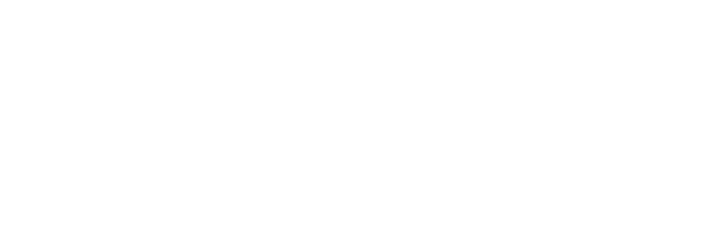 Anastasia logo in white