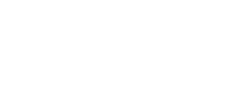 Brave logo in white