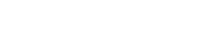 Fast & Furious logo in white