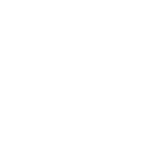 Mad Max: Fury Road logo in white