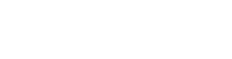 Sonic the Hedgehog 2 logo in white