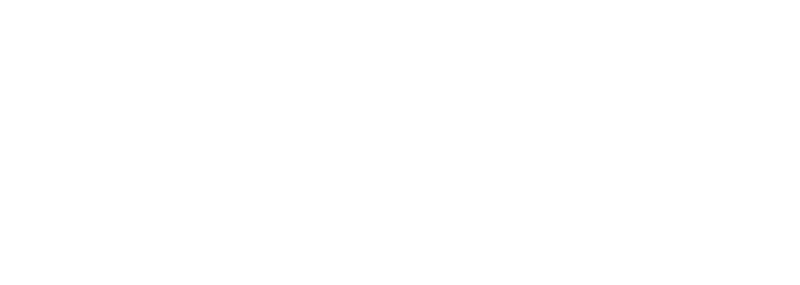 The Lion King 1½ logo in white