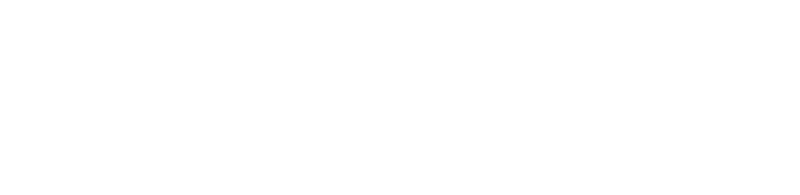 The Village logo in white