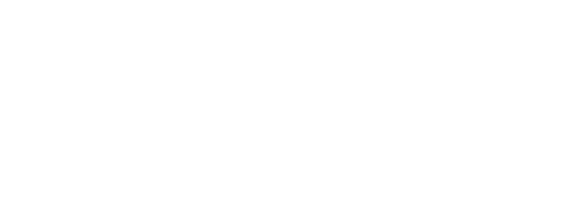 The Boys logo in white